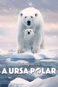 Polar Bear - Posters