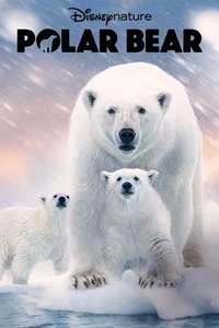 Polar Bear - Posters