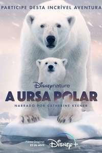 Polar Bear - Posters