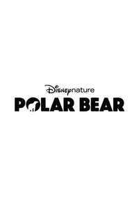Polar Bear - Posters