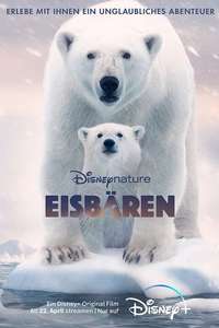 Polar Bear - Posters