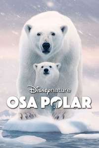 Polar Bear - Posters
