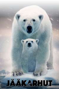 Polar Bear - Posters