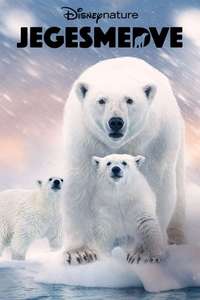 Polar Bear - Posters
