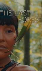 The Last Forest