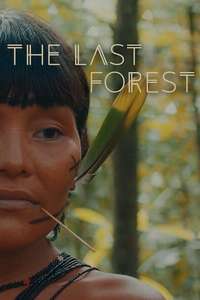 The Last Forest - Poster
