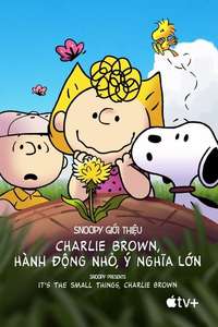 Snoopy Presents: It’s the Small Things  Charlie Brown - Poster