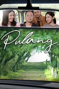 Pulang - Poster