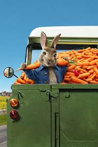 Peter Rabbit 2: The Runaway - Poster