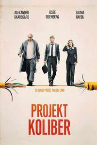 The Hummingbird Project - Poster