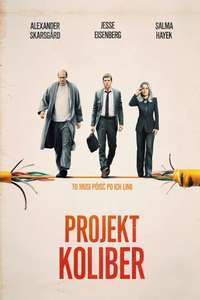 The Hummingbird Project - Poster