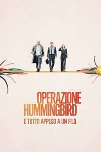 The Hummingbird Project - Poster