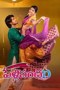 Pelli SandaD - Poster