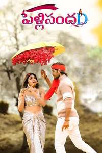 Pelli SandaD - Poster