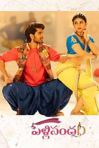 Pelli SandaD - Poster