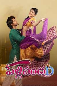 Pelli SandaD - Poster