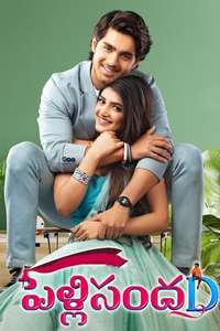Pelli SandaD - Poster