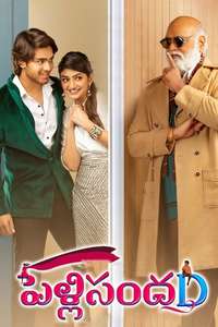 Pelli SandaD - Poster