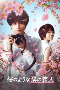 Love Like the Falling Petals - Poster