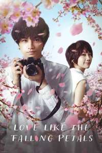 Love Like the Falling Petals - Poster
