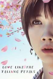 Love Like the Falling Petals