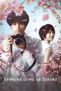 Love Like the Falling Petals - Poster