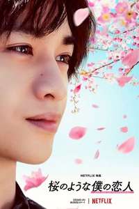 Love Like the Falling Petals - Poster