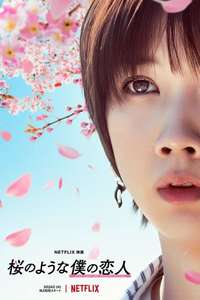 Love Like the Falling Petals - Poster