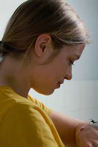 The Girl and the Spider - Poster