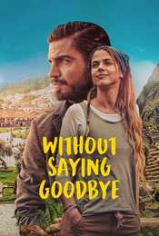 Without Saying Goodbye