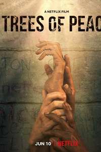 Trees of Peace - Poster