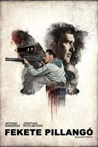 Black Butterfly - Poster