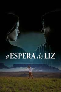 Liz's Wait - Poster