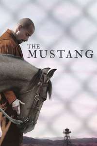 The Mustang - Posters