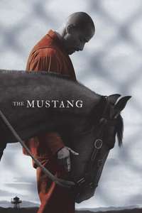 The Mustang - Posters