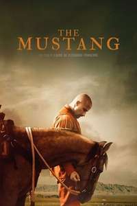The Mustang - Posters