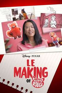 Embrace the Panda: Making Turning Red - Posters