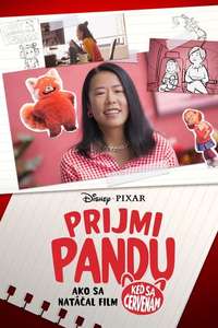 Embrace the Panda: Making Turning Red - Posters
