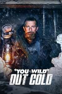 You vs. Wild: Out Cold - Posters