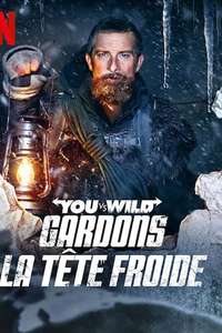 You vs. Wild: Out Cold - Posters