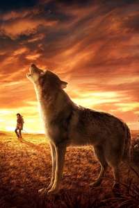 Alpha - Posters