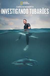 Shark Beach with Chris Hemsworth - Posters