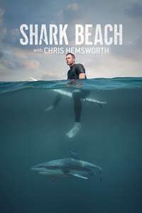 Shark Beach with Chris Hemsworth - Posters