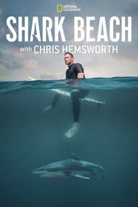 Shark Beach with Chris Hemsworth - Posters