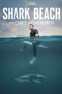 Shark Beach with Chris Hemsworth - Posters