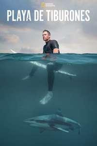 Shark Beach with Chris Hemsworth - Posters