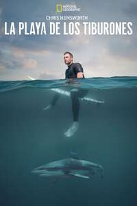 Shark Beach with Chris Hemsworth - Posters