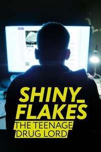 Shiny_Flakes: The Teenage Drug Lord - Poster