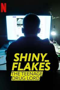 Shiny_Flakes: The Teenage Drug Lord - Poster