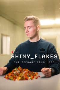 Shiny_Flakes: The Teenage Drug Lord - Poster